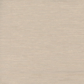 First Novel Putty by Carole Designer Fabric STATIONERY 72% Rayon, 28% Polyester China Passes 30,000 Double Rubs Wyzenbeek Horizontal: 0" and Vertical: 0" 55" - Swanky Fabrics -