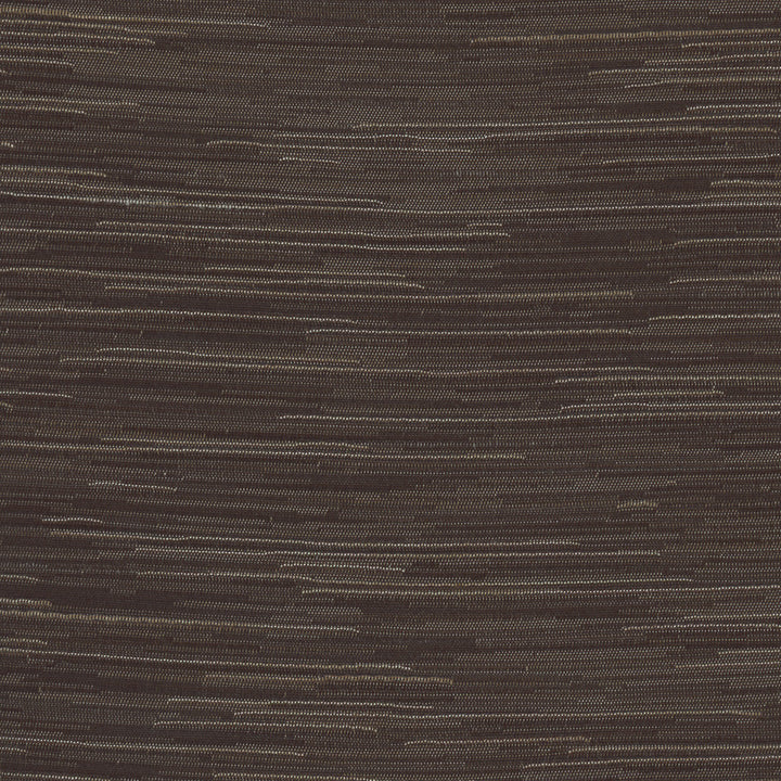 Suntan River Rock by Carole Fabric Excursion 95% Polyester, 5% Cotton India 8,000 Wyzenbeek Double Rubs Horizontal: 0 and Vertical: 0 56.5 - Fabric Carolina -