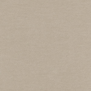 Warm Up Beige by Carole Fabric