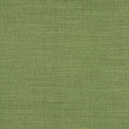 Boardroom Kelp by Carole Fabric Power Play 100% IFR Hybrid Polyester 25,000 Wyzenbeek Double Rubs None 54" - Fabric Carolina -