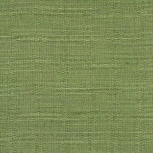 Boardroom Kelp by Carole Fabric