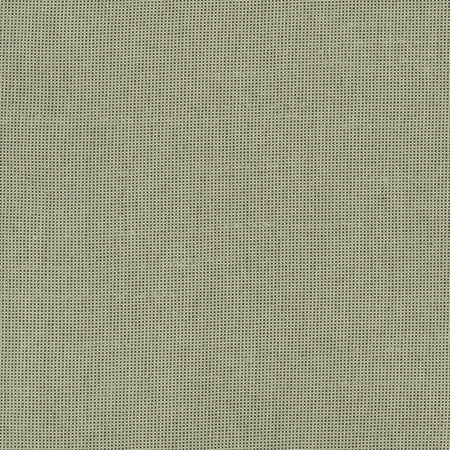 Fleeting Olive by Carole Fabric Royale 100% Polyester India  None 54"  - Fabric Carolina -