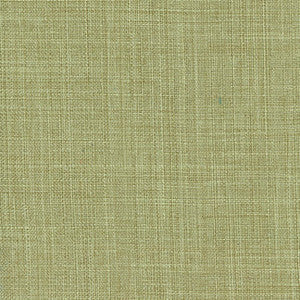 Sightsee Olive Tree by Carole Fabric
