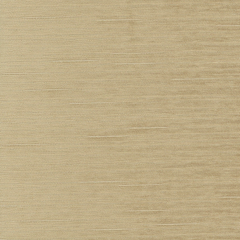 Stay Here Natural by Carole Fabric Birch 100% Polyester China N/A Horizontal: 0 and Vertical: 0 55 - Fabric Carolina -