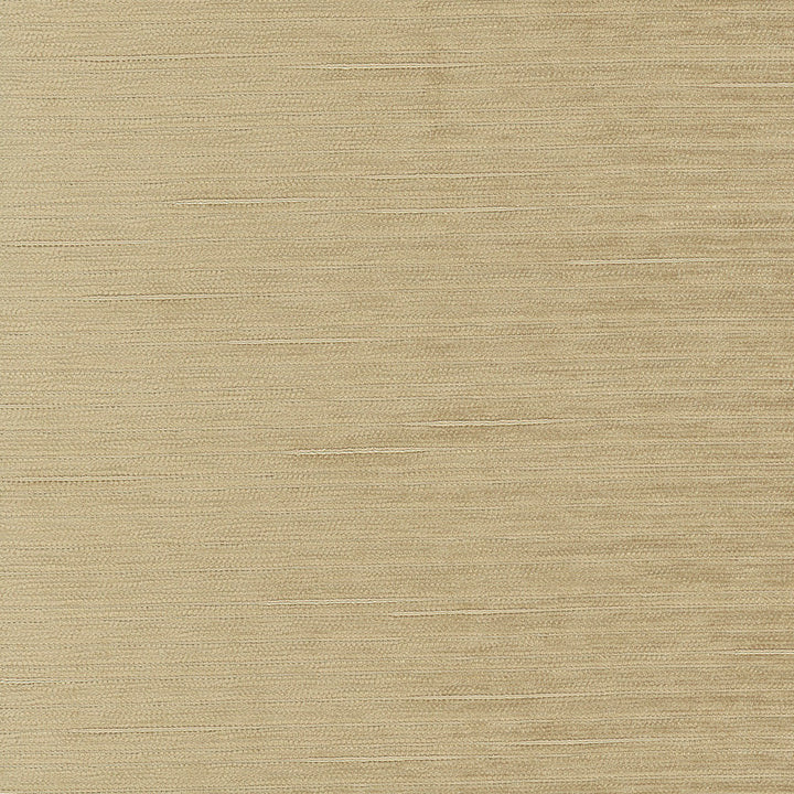 Stay Here Natural by Carole Fabric Birch 100% Polyester China N/A Horizontal: 0 and Vertical: 0 55 - Fabric Carolina -