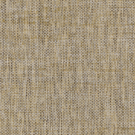 Breather Birch by Carole Fabric Synchrony 100% Polyester Turkey 30,000 Wyzenbeek Double Rubs </p><p>Repeat: None 54" - Fabric Carolina -