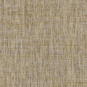 Breather Birch by Carole Fabric