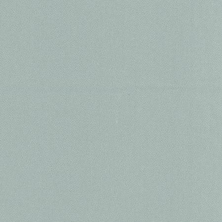 Daydreamer Mist by Carole Fabric Daydreamer III,Daydreaming 100% Cotton, Soil & Stain Release TURKMENISTAN Passes 30,000 Double Rubs Wyzenbeek Horizontal: None and Vertical: NONE 54" - Fabric Carolina -