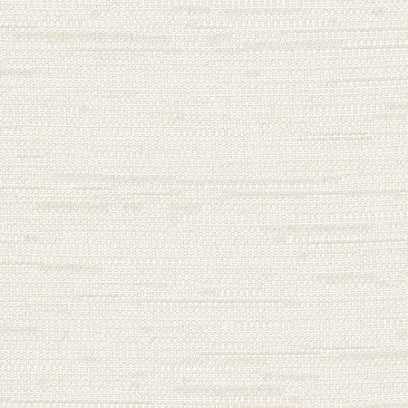 Cliff Top Alabaster by Carole Designer Fabric Excursion 66% Polyester, 34% Cotton India None 56" - Swanky Fabrics -