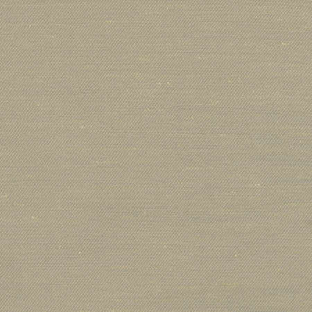 Rumi Almond by Carole Fabric Gala 100% Polyester India N/A None 54"  - Fabric Carolina -