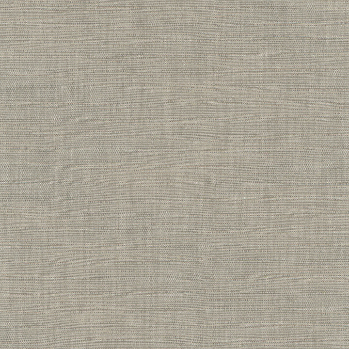 Athlete Slate by Carole Fabric Pewter 60% Cotton, 40% Polyester India Passes 50,000 Double Rubs Wyzenbeek Horizontal: 0 and Vertical: 0 55 - Fabric Carolina -