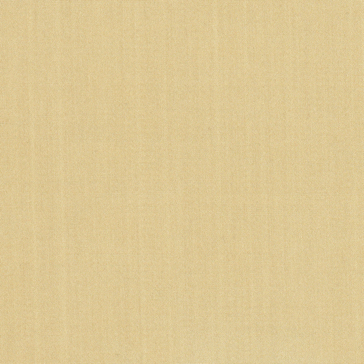 Tempt Amber by Carole Fabric Royale 100% IFR Polyester India Passes 45,000 Double Rubs Wyzenbeek Horizontal: 0 and Vertical: 0 54 - Fabric Carolina -