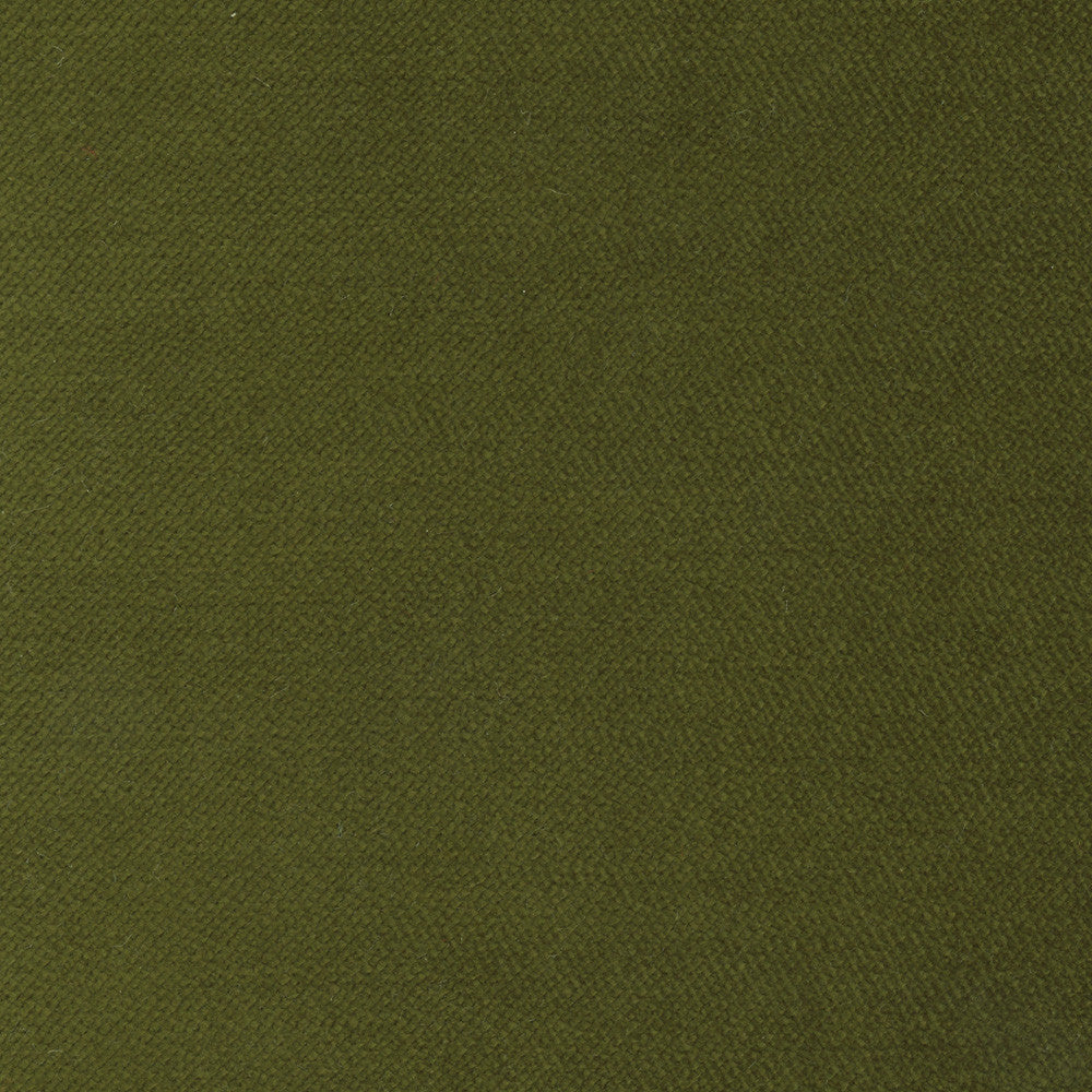 Regal Touch Moss by Carole Fabric Touch Of Luxury 100% Polyester Turkey 15,000 Wyzenbeek Double Rubs Horizontal: 0 and Vertical: 0 55 - Fabric Carolina -