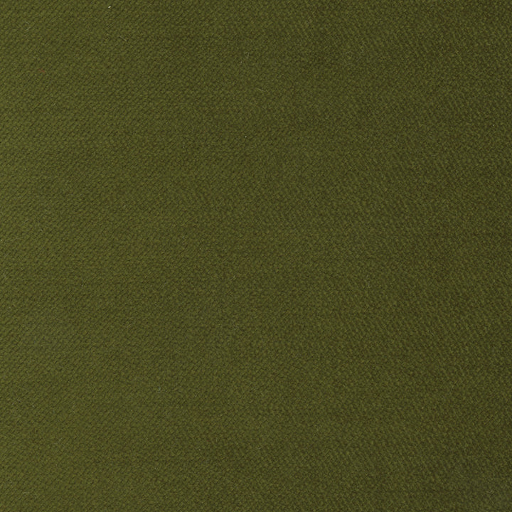 Regal Touch Moss by Carole Fabric Touch Of Luxury 100% Polyester Turkey 15,000 Wyzenbeek Double Rubs Horizontal: 0 and Vertical: 0 55 - Fabric Carolina -