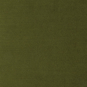 Regal Touch Moss by Carole Fabric