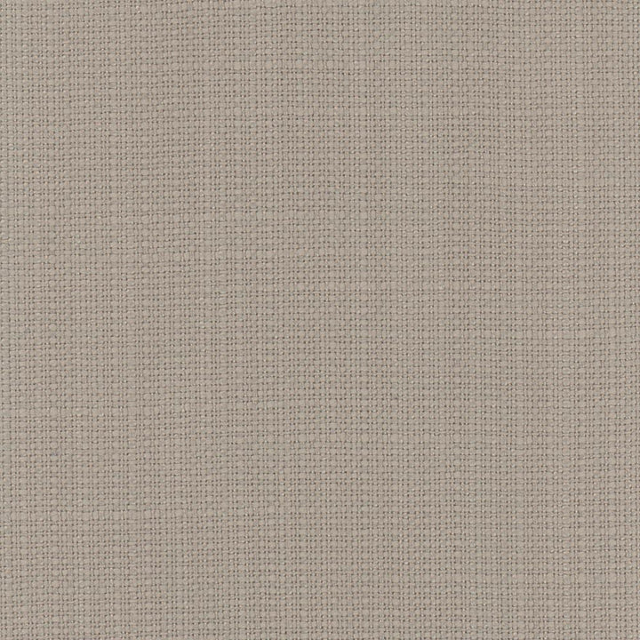 Narration Birch by Carole Designer Fabric Narrator 100% Polyester Mexico Passes 30,000 Double Rubs Wyzenbeek Horizontal: 0 and Vertical: 0 54 - Swanky Fabrics -