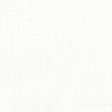 Sidewalk Snow by Carole Fabric Abode 100% Polyester India 100,000 Wyzenbeek Double Rubs None 54"  - Fabric Carolina -