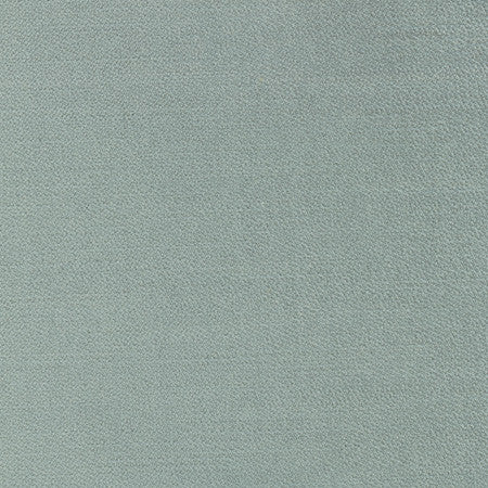 Regal Touch Lichen by Carole Fabric Touch Of Luxury 100% Polyester Turkey 15,000 Wyzenbeek Double Rubs Horizontal: None and Vertical: None 55" - Fabric Carolina -