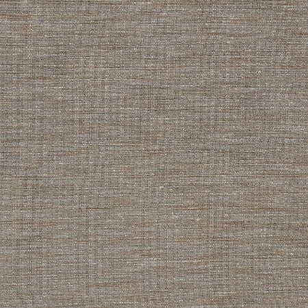 Sensational Java by Carole Designer Fabric Best Dressed 100% Polyester N/A None 54" - Swanky Fabrics -