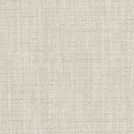Cortland Oyster by Carole Fabric Gala 100% Polyester India  None 54.75"  - Fabric Carolina -