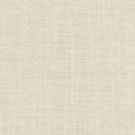 Aerial Flax by Carole Fabric Opal 100% Polyester India Passes 50,000 Double Rubs Wyzenbeek Horizontal: None and Vertical: None 56" - Fabric Carolina -