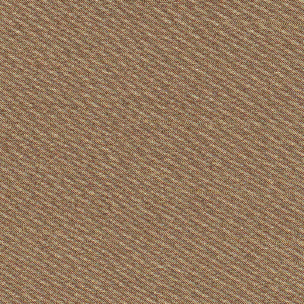 Northwind Earth by Carole Fabric New Northwind Iv 100% Polyester India Passes 9,000 Double Rubs Wyzenbeek Horizontal: 0 and Vertical: 0 54 - Fabric Carolina -