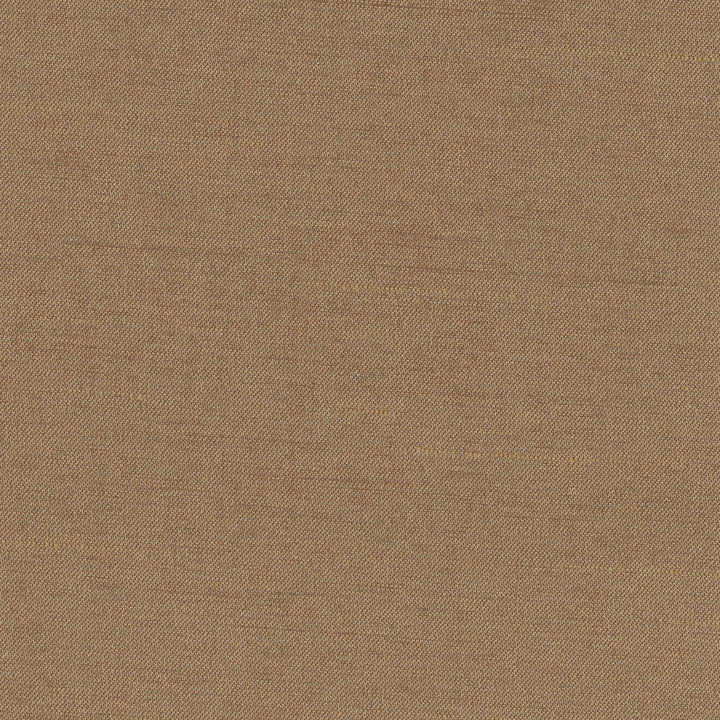 Northwind Earth by Carole Fabric New Northwind Iv 100% Polyester India Passes 9,000 Double Rubs Wyzenbeek Horizontal: 0 and Vertical: 0 54 - Fabric Carolina -
