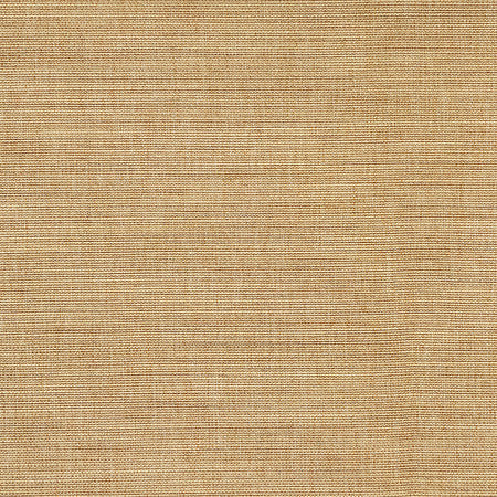 Boardroom Straw by Carole Designer Fabric Power Play 100% IFR Hybrid Polyester 25,000 Wyzenbeek Double Rubs None 54" - Swanky Fabrics -