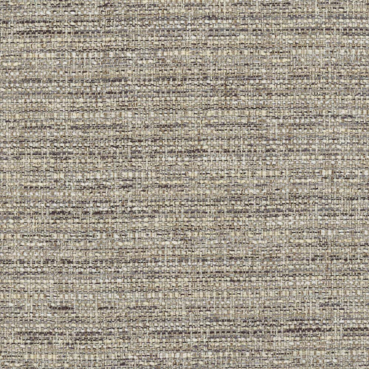 Valhalla Granite by Carole Fabric Rodeo 100% Polyester India Passes 30,000 Double Rubs Wyzenbeek Horizontal: 0 and Vertical: 0 55 - Fabric Carolina -