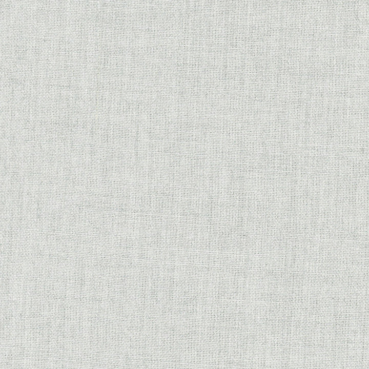 Aerial Stone by Carole Designer Fabric Pewter 100% Polyester India Passes 50,000 Double Rubs Wyzenbeek Horizontal: 0 and Vertical: 0 56 - Swanky Fabrics -