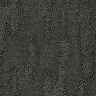 Northern Lights Black by Carole Fabric Northern Lights 100% Polyester China Passes 15,000 Double Rubs Wyzenbeek NONE 55"  - Fabric Carolina -