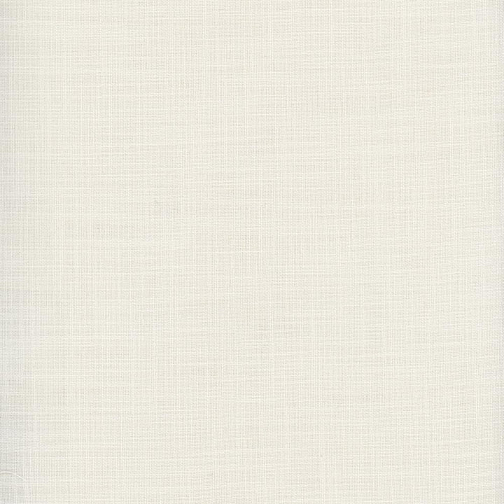 Fundamental Alabaster by Carole Fabric Fundamental 100% Polyester Turkey Passes 20,000 Double Rubs Wyzenbeek Horizontal: 0 and Vertical: 0 54 - Fabric Carolina -