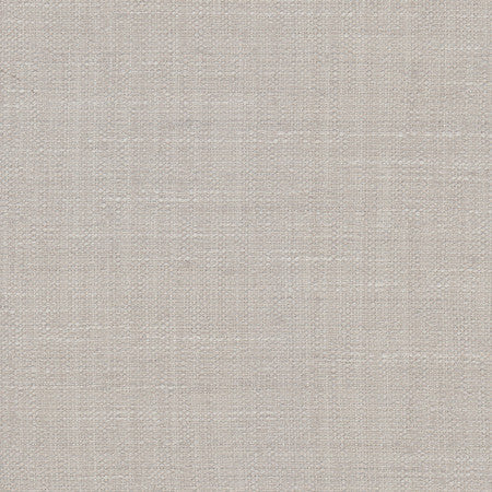 <p>The Reason Is Silver by Carole Designer Fabric</p><p><strong>Required Minimum Quantity Purchase: 2 yards</strong></p><p>Book: Desert Sands</p><p>Content: 100% Polyester</p><p>Origin: </p><p>Performance: N/A</p><p>Repeat: None</p><p>Width: 54""</p>