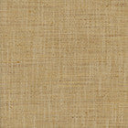 There For You Amber by Carole Fabric