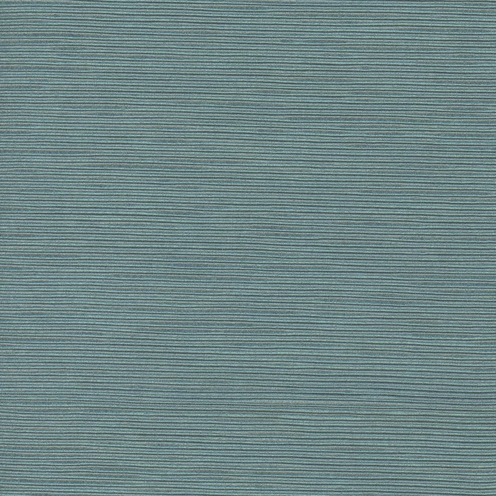 First Novel Tide by Carole Fabric Stationery 72% Rayon, 28% Polyester China Passes 30,000 Double Rubs Wyzenbeek Horizontal: 0 and Vertical: 0 55 - Fabric Carolina -