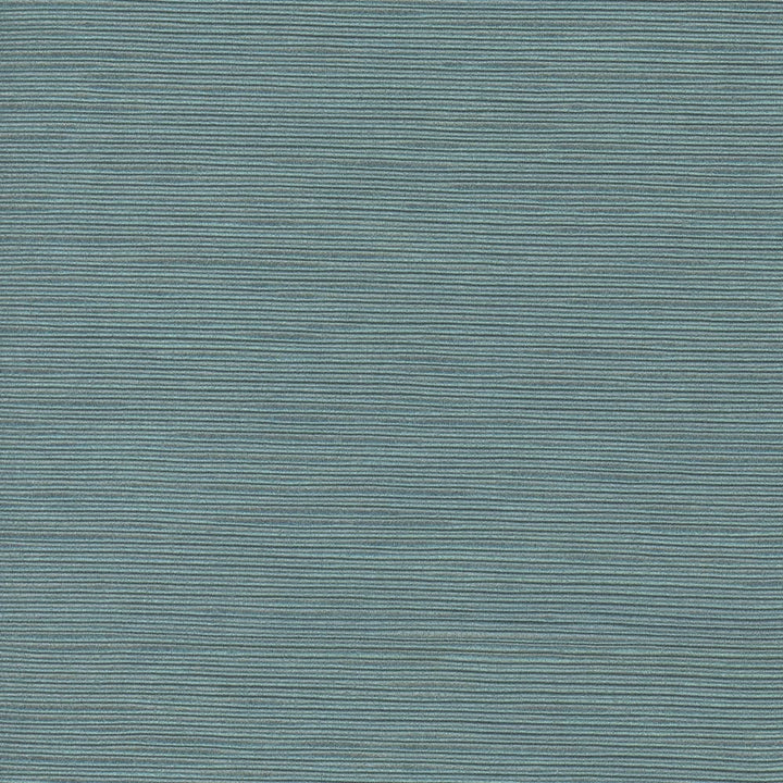 First Novel Tide by Carole Fabric Stationery 72% Rayon, 28% Polyester China Passes 30,000 Double Rubs Wyzenbeek Horizontal: 0 and Vertical: 0 55 - Fabric Carolina -