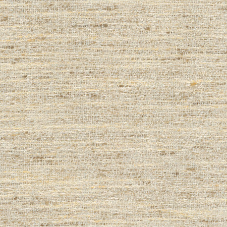 Pop Fly Ivory by Carole Designer Fabric Texture Theory,Let's Mingle 100% Polyester India None 57" - Swanky Fabrics -