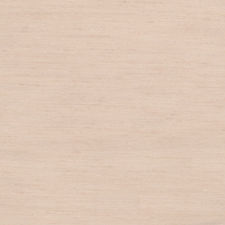 Rumi Blush by Carole Fabric Gala 100% Polyester India  None 54"  - Fabric Carolina -