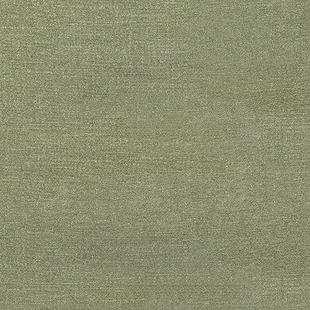 Illustrious Thyme by Carole Fabric Best Dressed 100% Polyester 65,000 Wyzenbeek Double Rubs None 54" - Fabric Carolina -