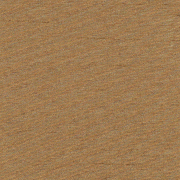Northwind Brush by Carole Fabric New Northwind Iv 100% Polyester India Passes 9,000 Double Rubs Wyzenbeek Horizontal: 0 and Vertical: 0 54 - Fabric Carolina -