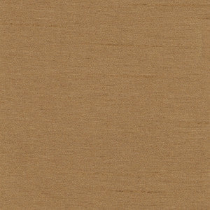 Northwind Brush by Carole Fabric