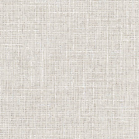 Adjuster Dove by Carole Fabric Dove Wing 62% Polyester, 32% Cotton, 6% Viscose INDIA  None 54"  - Fabric Carolina -