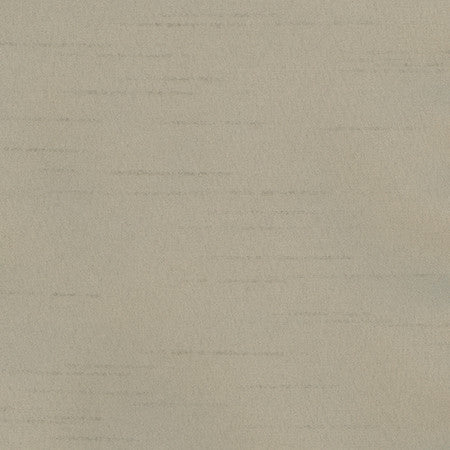 Bane Smoke by Carole Fabric With Grace 100% Polyester Hybrid FR Mexico 30,000 WYZENBEEK DOUBLE RUBS None 54"  - Fabric Carolina -