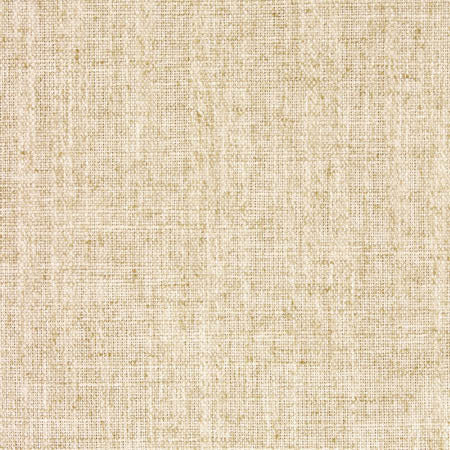 Critic Natural by Carole Fabric Toasted Almond 85% Polyester, 15% Linen INDIA N/A None 54"  - Fabric Carolina -