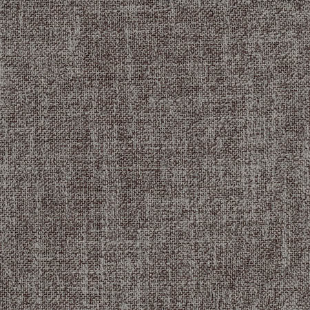Enthusiasm Flint by Carole Fabric Dove Wing 100% Polyester INDIA N/A None 54"  - Fabric Carolina -