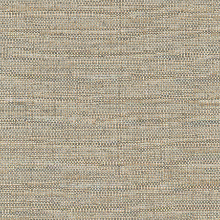 Cliff Top Bronze by Carole Fabric Excursion 66% Polyester, 34% Cotton India  None 56"  - Fabric Carolina -