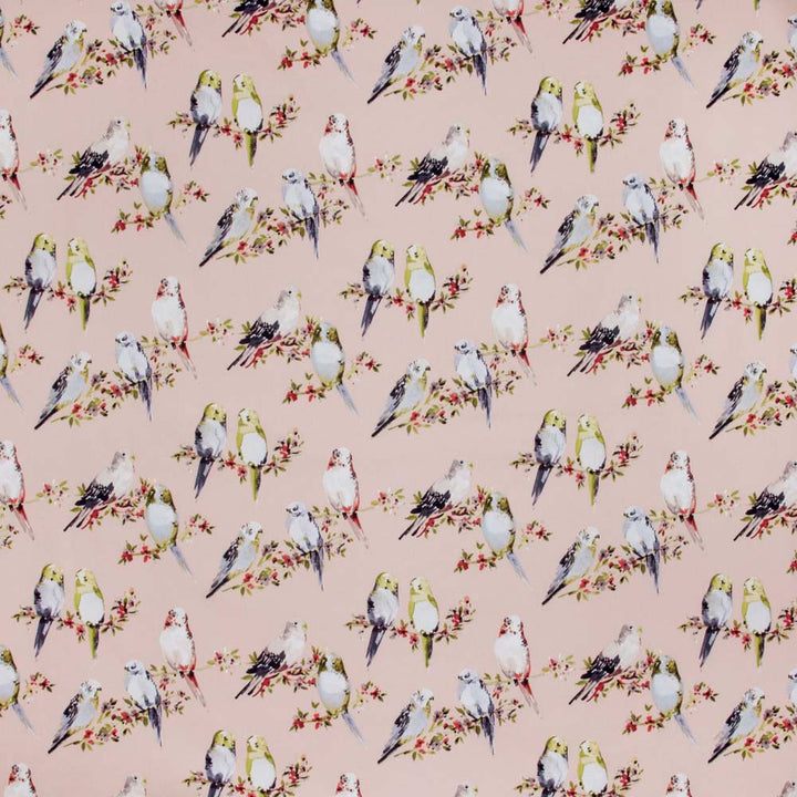 In Unison Blush by Carole Fabric Summer Garden 100% Cotton-SR Pakistan Passes 50,000 Double Rubs Wyzenbeek Horizontal: 1775 and Vertical: 1675 56 - Fabric Carolina -
