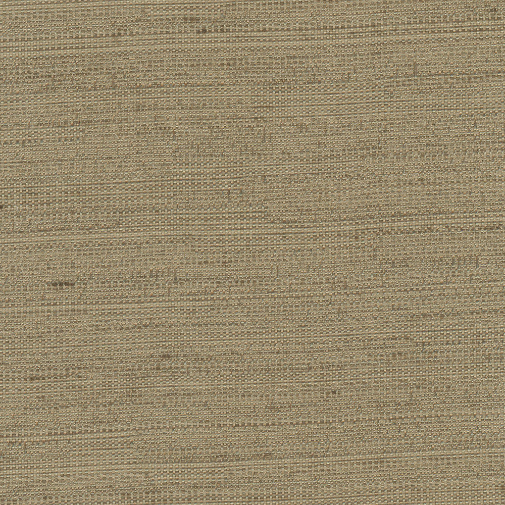 Aiden Walnut by Carole Fabric Chestnut 100% Polyester India N/A Horizontal: 0 and Vertical: 0 54 - Fabric Carolina -