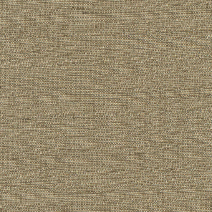 Aiden Walnut by Carole Fabric Chestnut 100% Polyester India N/A Horizontal: 0 and Vertical: 0 54 - Fabric Carolina -