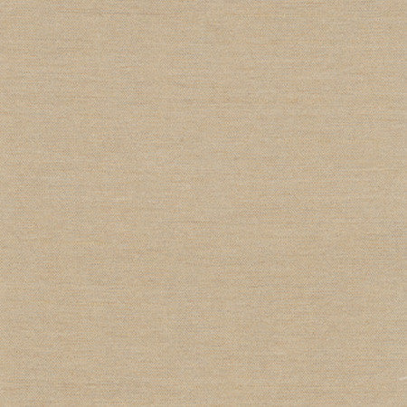 Northwind Tussah by Carole Fabric New Northwind III,New Northwind IV 100% Polyester India Passes 9,000 Double Rubs Wyzenbeek </p><p>Repeat: NONE 54" - Fabric Carolina -